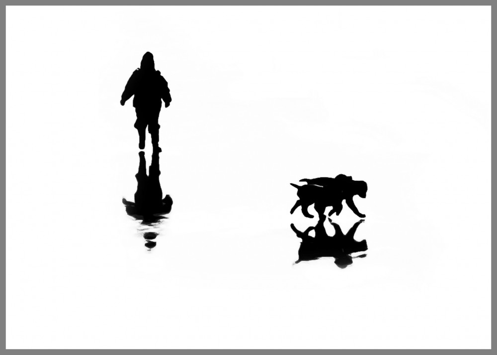 child with the  floating spaniels