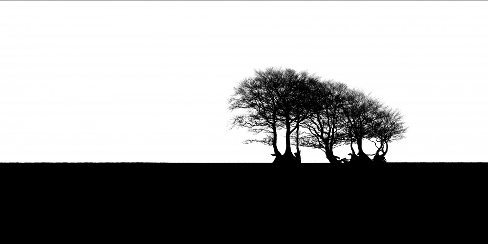 deserted beech right