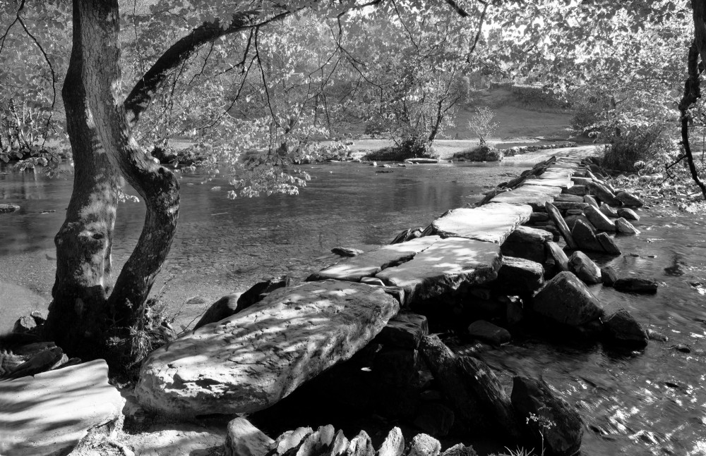 tarr steps b and w