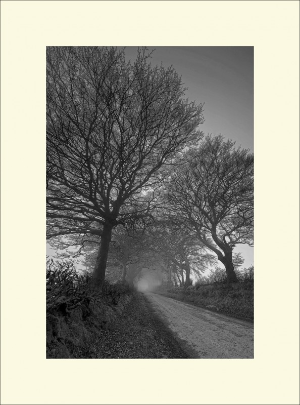 WITCHES WALK EXMOOR black edge
